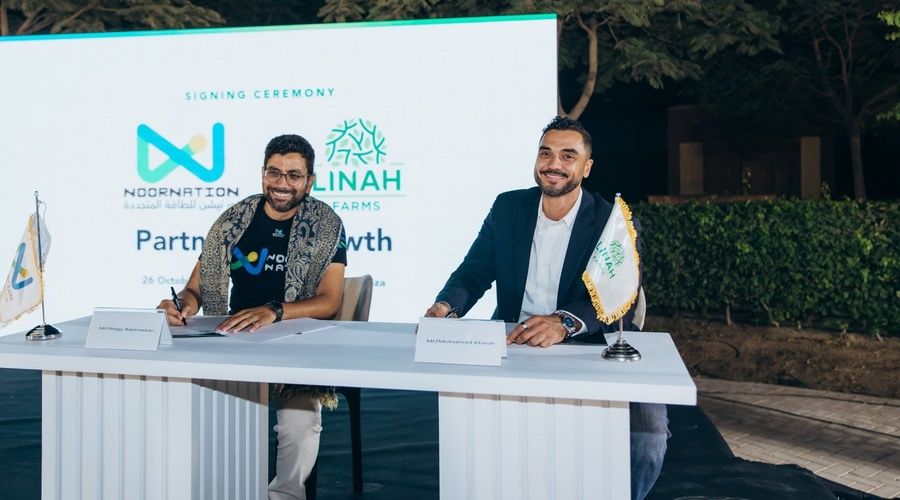 نورنيشن المصرية تجمع 1.05 مليون دولار لتوسيع حلول الطاقة الشمسية في القطاع الزراعي