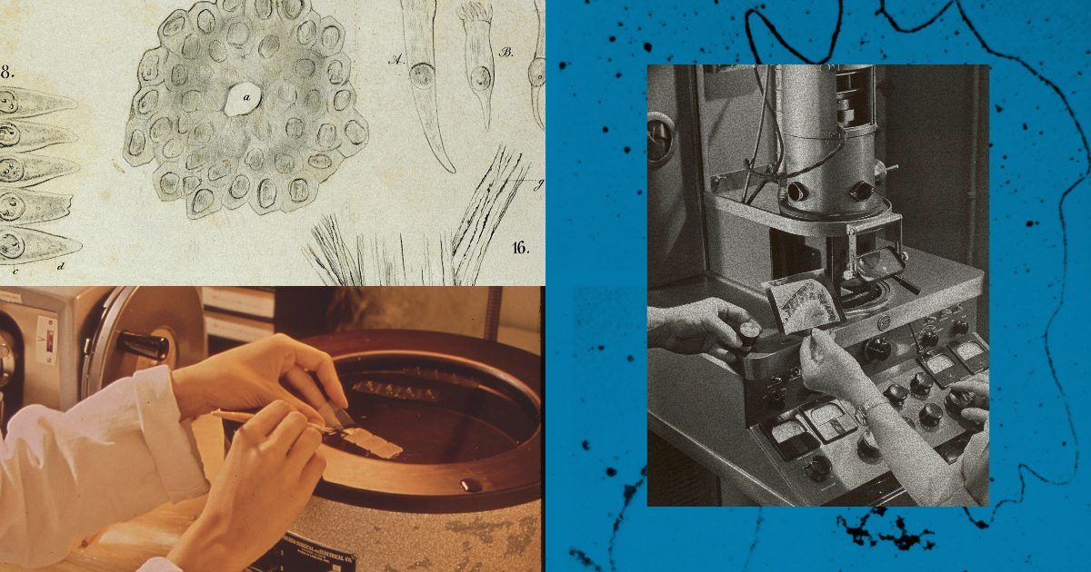 Anthropic Opens Research Collaboration for Scientists to Use Claude Models in Life Sciences