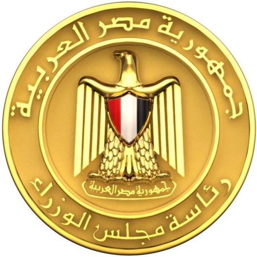 تقرير حكومي: الأمن السيبراني وتكامل البيانات ونقص الكفاءات تعرقل رقمنة الصحة في مصر