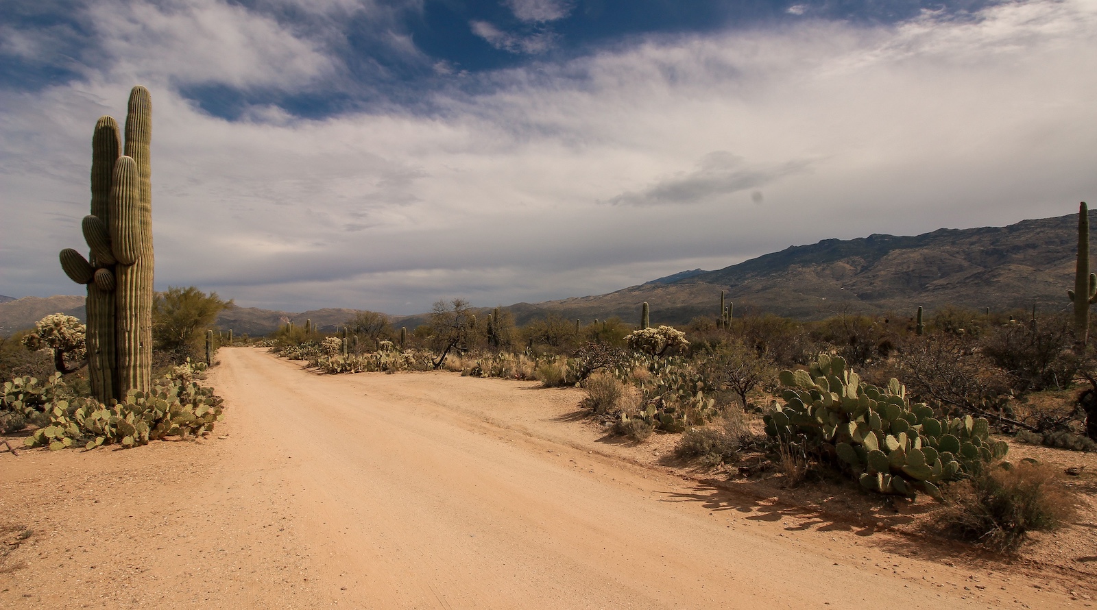 نحو 2000 تعليق تعارض خط أنابيب الغاز Desert Southwest أمام حاكمة أريزونا