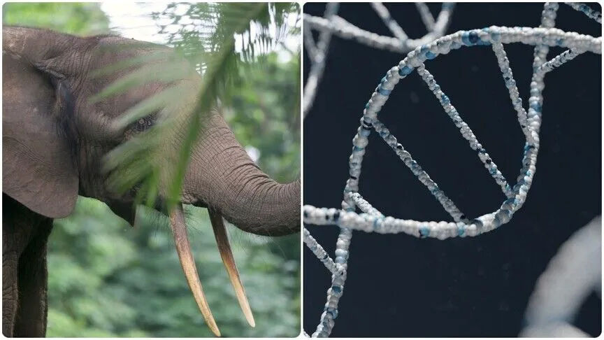 September Highlights: Artificial Intelligence Helps Discover an Enzyme and New Technologies for Communication and Treatment