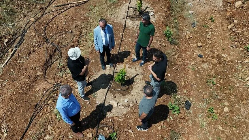 جامعة بينغول تحوّل أراضي صخرية إلى بساتين باستخدام الري الذكي والطاقة الشمسية