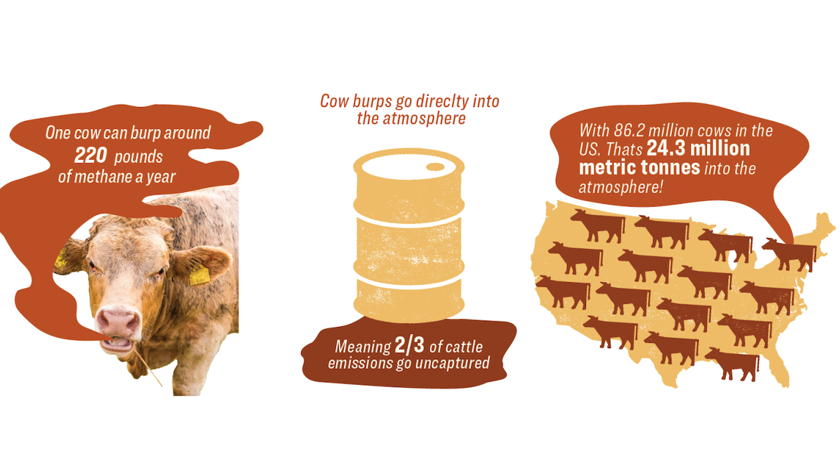 تقرير: إنفاق NW Natural على الغاز الحيوي لم يحقق خفضاً ملموساً للانبعاثات في أوريغون